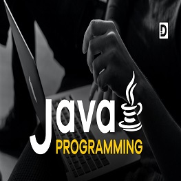 Java Programming